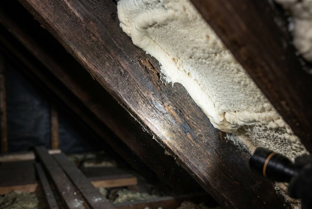 Damp or a musty loft